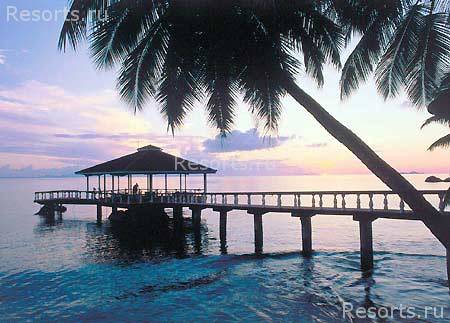 Black Parrot Suites Superior 17
